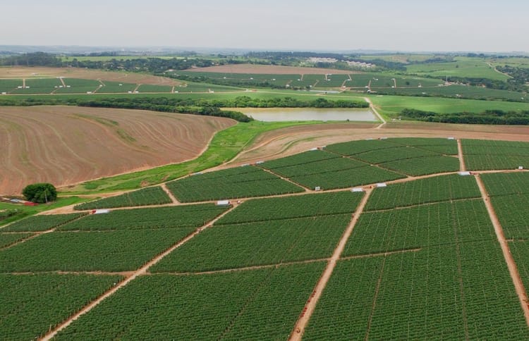 Başarınızı Büyütün