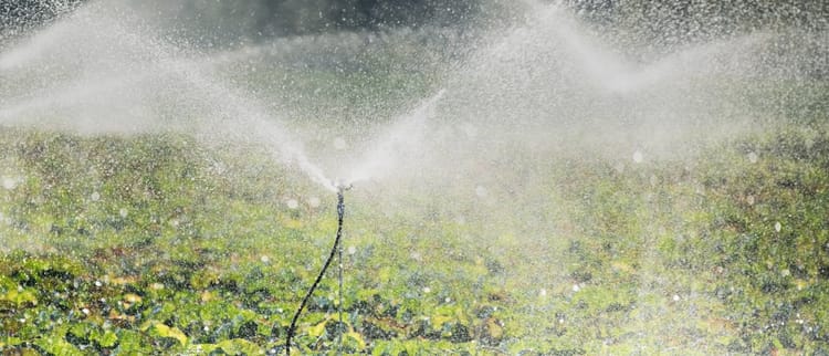 Sprinkler, mikro sprinkler ve özel damlatıcılar