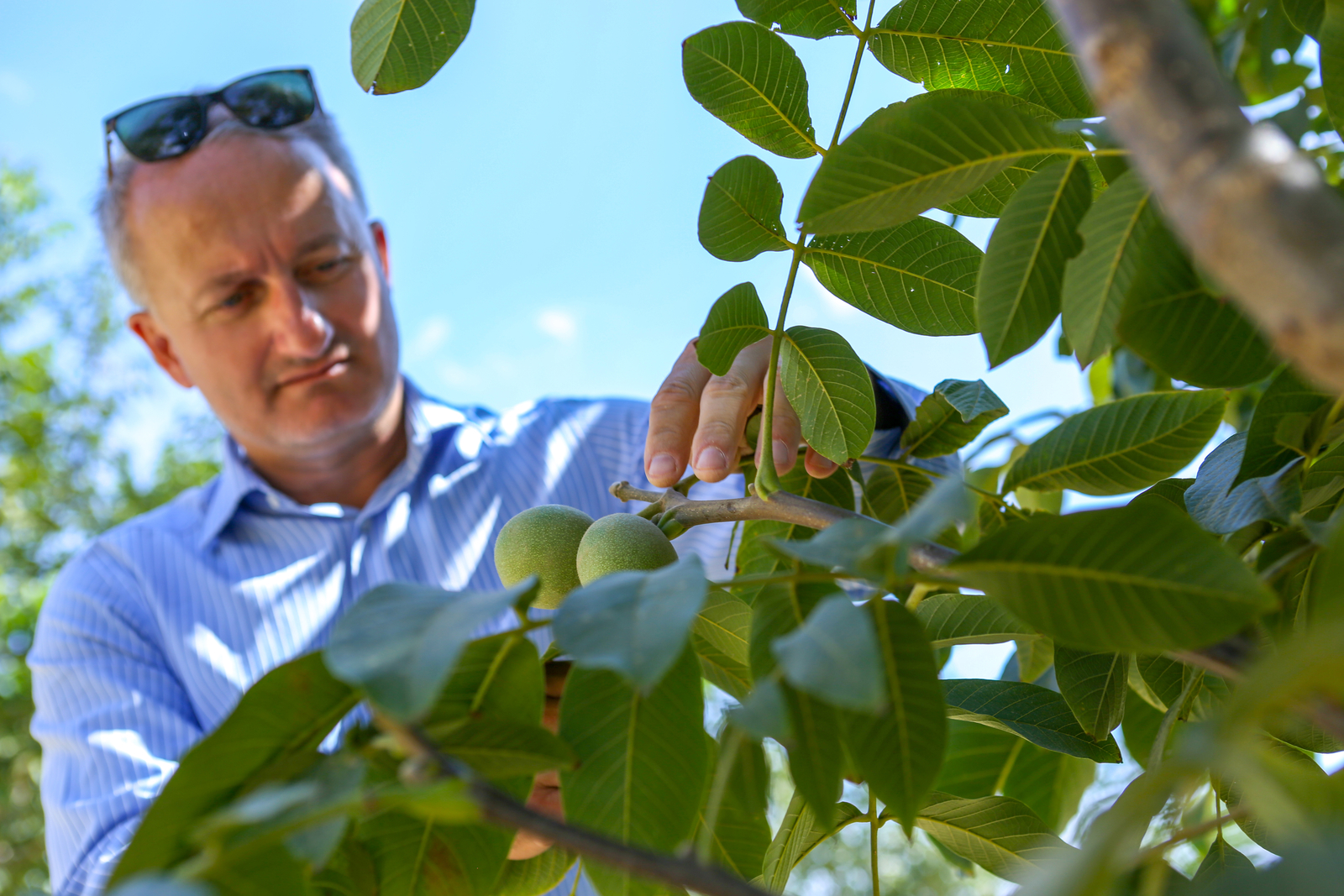 Damla Sulama Sistemleri