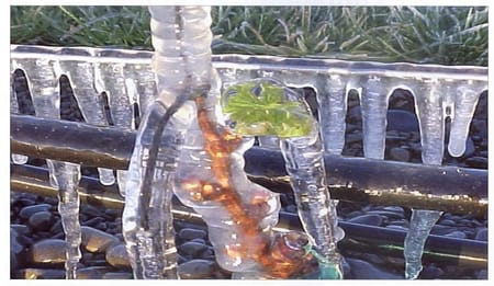 Bahçelerde Don: Riskler ve Sprinkler ile Çözümler