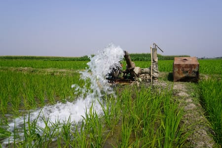 Salma (Vahşi) Sulama Nedir? Dezavantajları ve Toprak Yapısı Üzerindeki Etkileri Nelerdir?