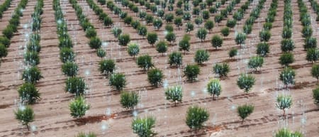 Tarımda dijitalleşme hayatımızı nasıl kolaylaştırıyor?