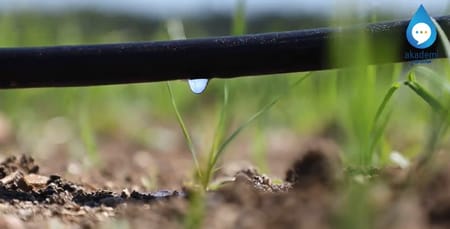 Damla Sulama Çeltikte Girdi Maliyetlerini Nasıl Azaltır?