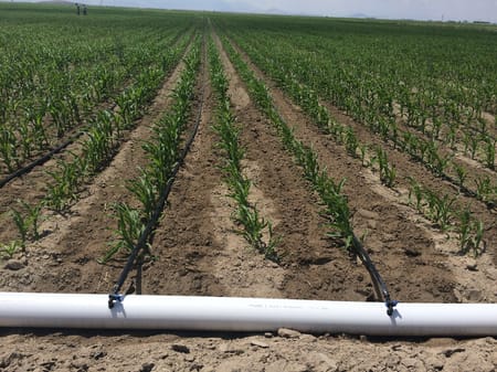 Damla Sulama Sistemlerinin Kurulumu