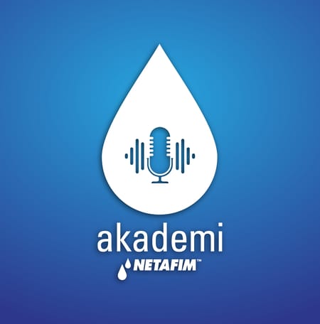 Fındıkta toprak altı damla sulama nedir? Avantajları nelerdir?