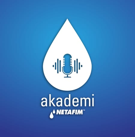 Fındıkta toprak altı damla sulama nedir? Avantajları nelerdir?