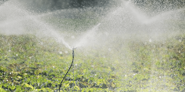 Sprinkler (sulama tabancası), Mikro Sprinkler ve Yağmurlama Sistemleri