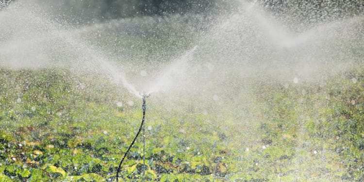 Sprinkler (sulama tabancası), Mikro Sprinkler ve Yağmurlama Sistemleri
