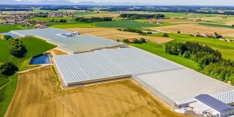 Venlo Serası: Steiner Sera Projesi