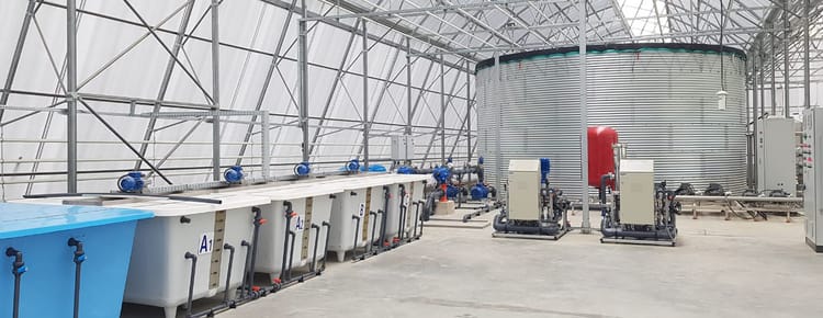 Topraksız Tarım ile Sürdürülebilir Gıda Üretimi