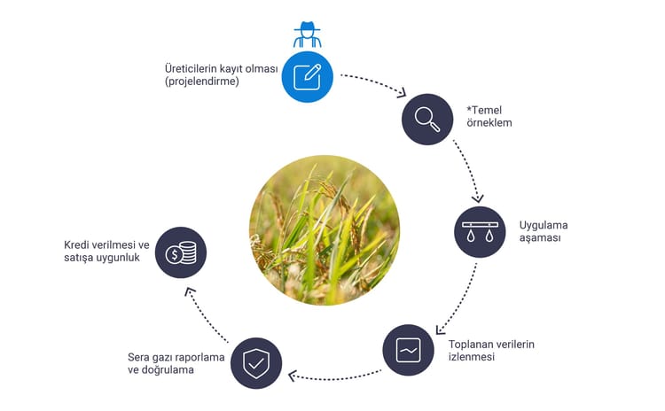 generating carbon credits infographic