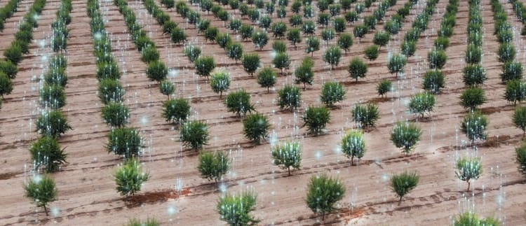Banner Tarımda dijitalleşme hayatımızı nasıl kolaylaştırıyor?