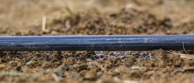 Banner Damla sulama ile gübreleme nasıl yapılır