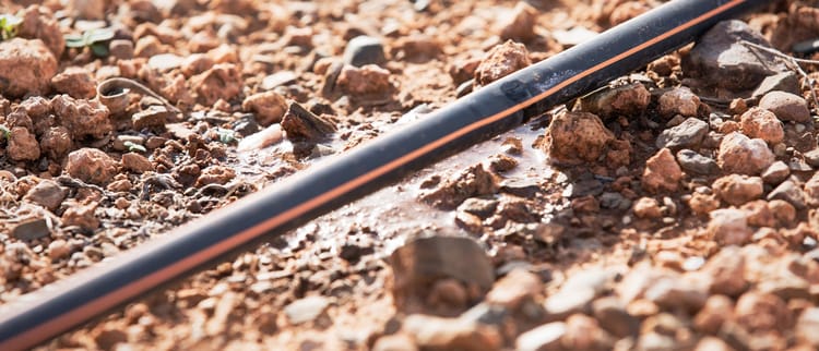 Damla Sulamaya Geçmek İçin 7 Neden