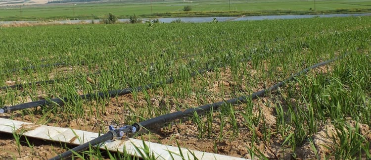 Banner Damla sulama sistemi alırken fiyatı etkileyen faktörler