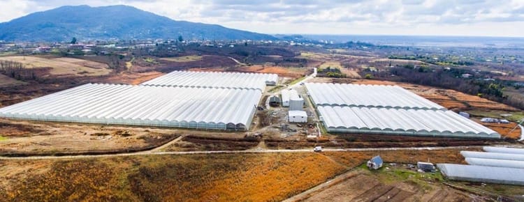 Sera Proje Yönetimi