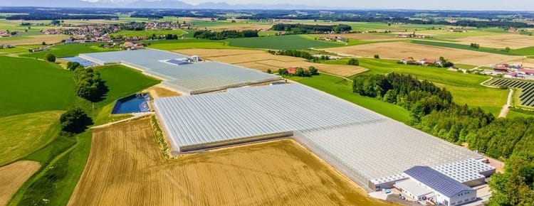 Venlo Serası: Steiner Sera Projesi