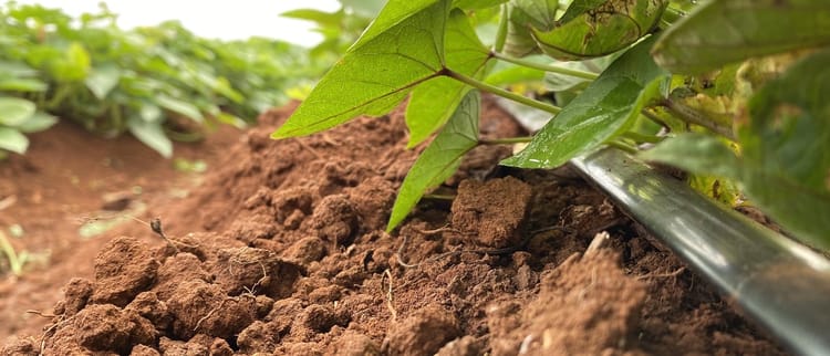 Doğru bir sulama projesi hazırlarken nelere dikkat edilmeli?