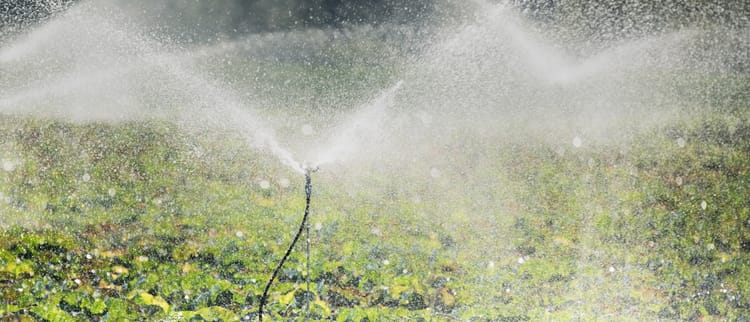 Sprinkler, mikro sprinkler ve özel damlatıcılar 