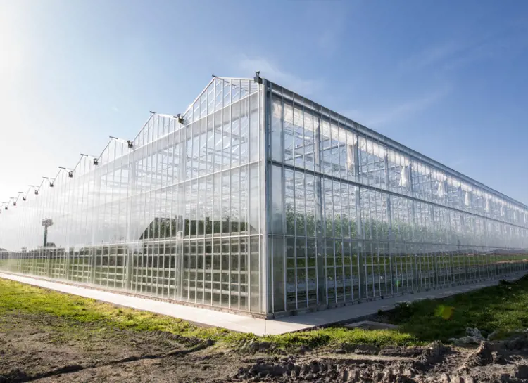 Different greenhouse structures